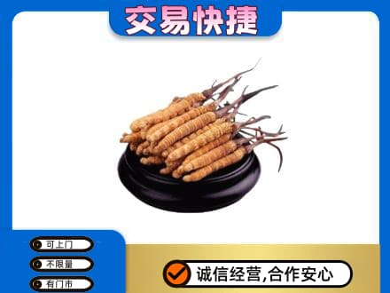郴州市苏仙礼品回收散虫草.jpg